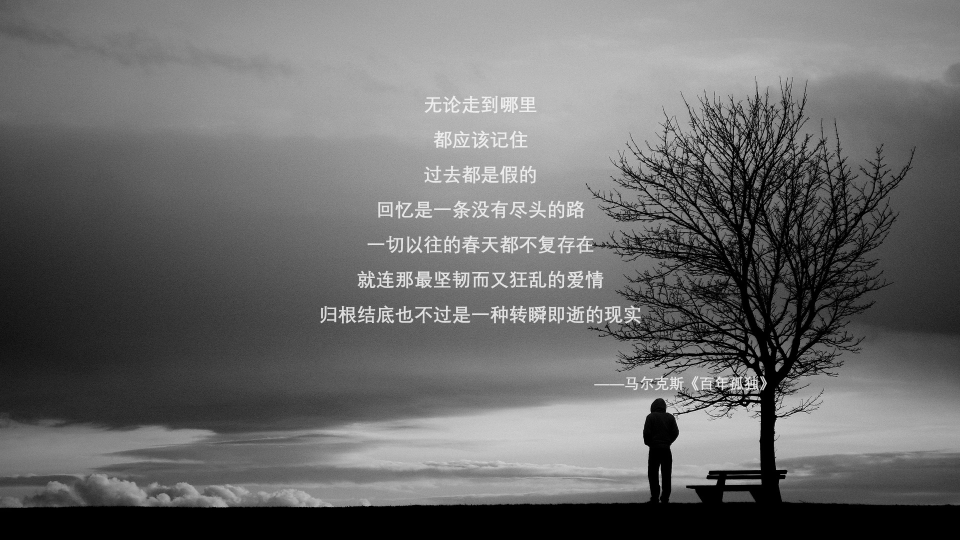 运动员职业规划指导方案设计，运动训练职业生涯规划
