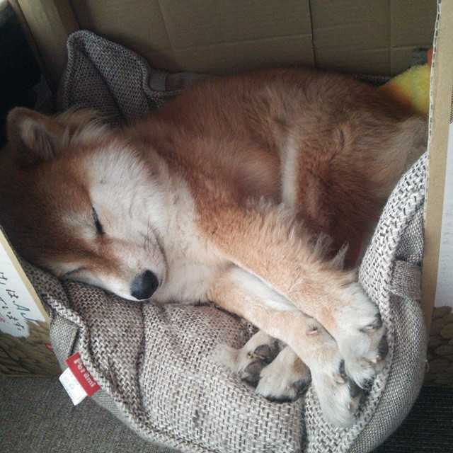 五大联赛阵型创新是否正在主导未来赛场表现趋势,5大联赛