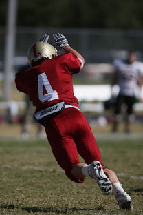 MILANSPORT下载-明星球员社会影响力不断扩大，影响力 球员 心中 觉得