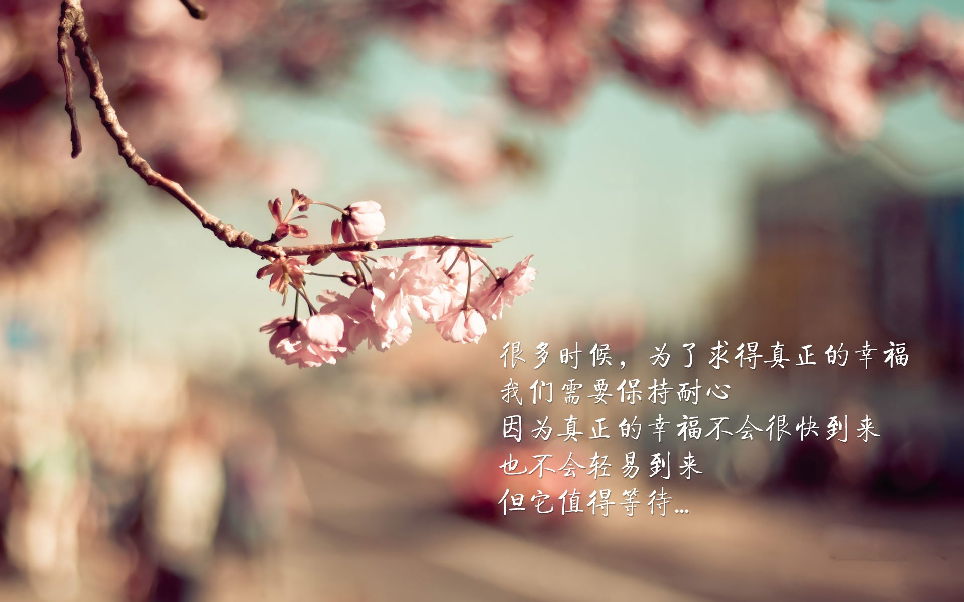 热刺重拾传控体系提升控球质量,热刺的传奇球星