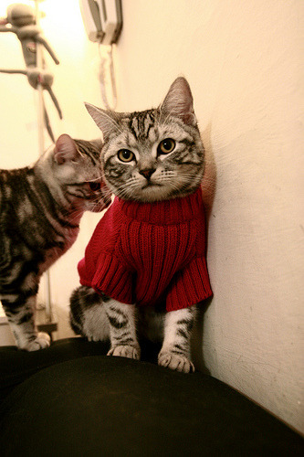 节奏改变是否能有效缓解得分荒局面,改变节奏强弱的方法