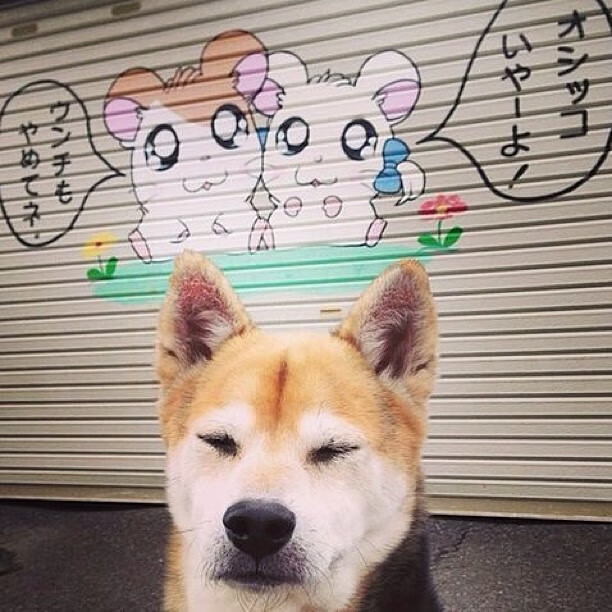 青少年足球参与热情不高,青少年足球热身训练