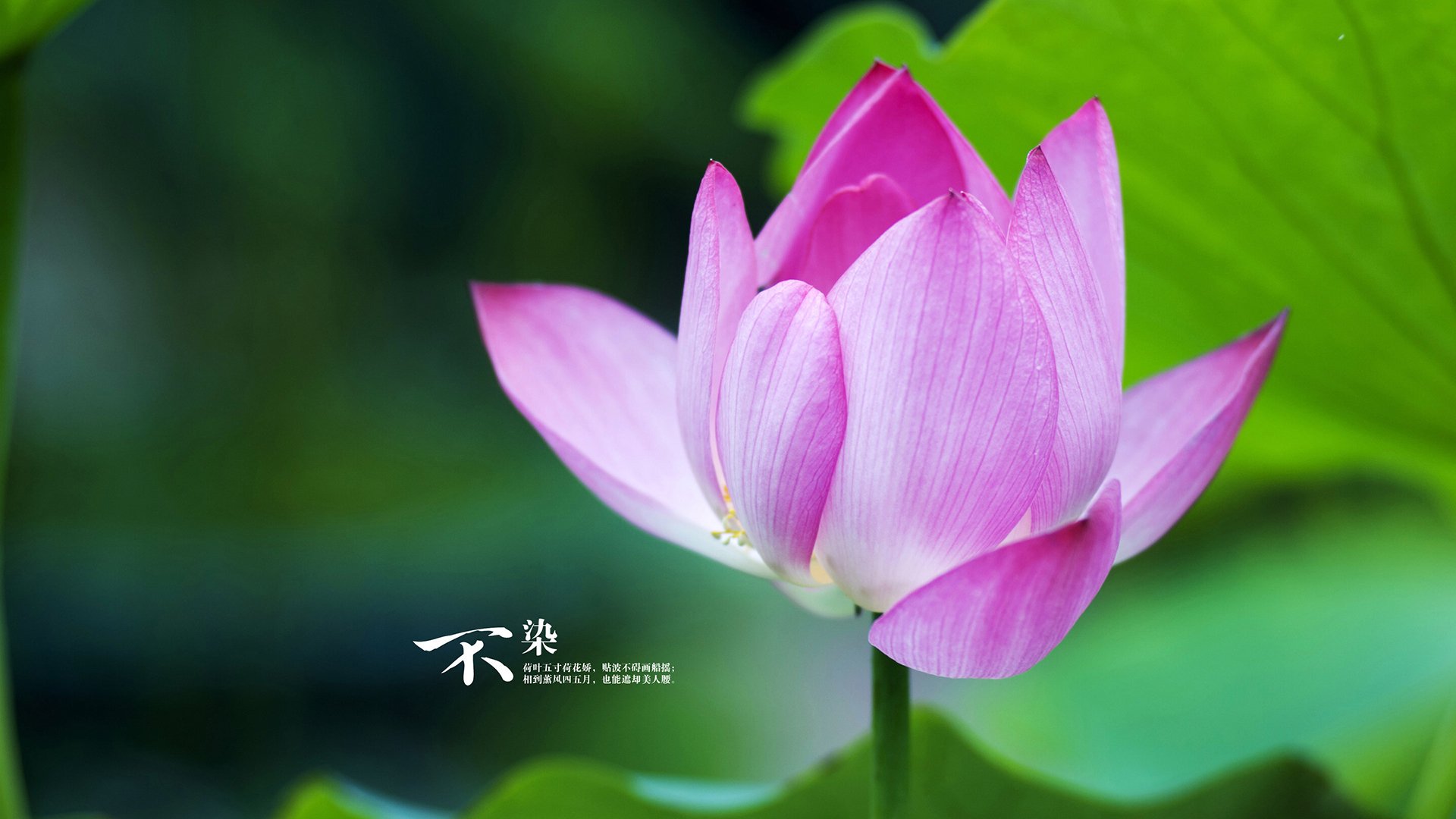 丁俊晖激战加时斯诺克大师赛,丁俊晖最新斯诺克