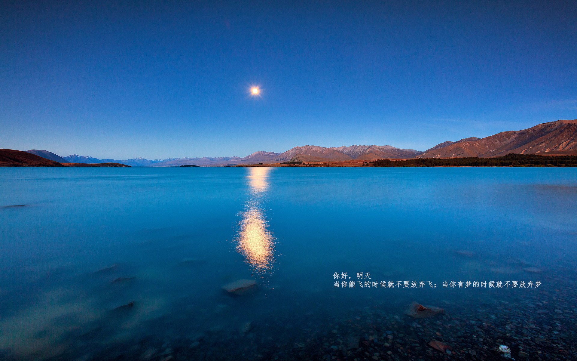 中立代表队B赛场风采尽显未来潜力,中立场比赛是什么意思