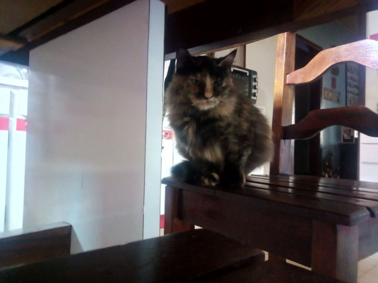 大学篮球联赛发展稳步推进促进学生运动员全面成长,大学开展篮球赛的意义