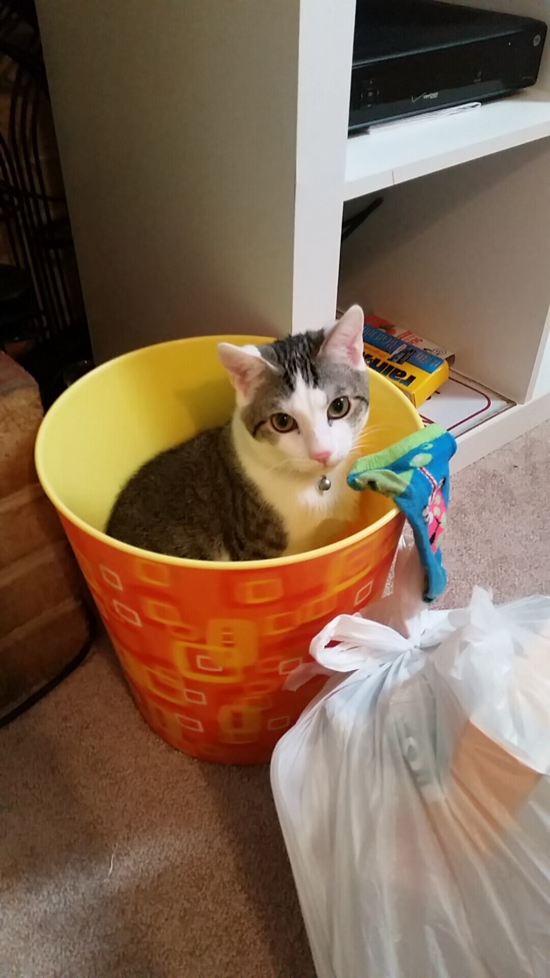 德甲高空轰炸:精彩头球瞬间令人拍案叫绝,德甲空场