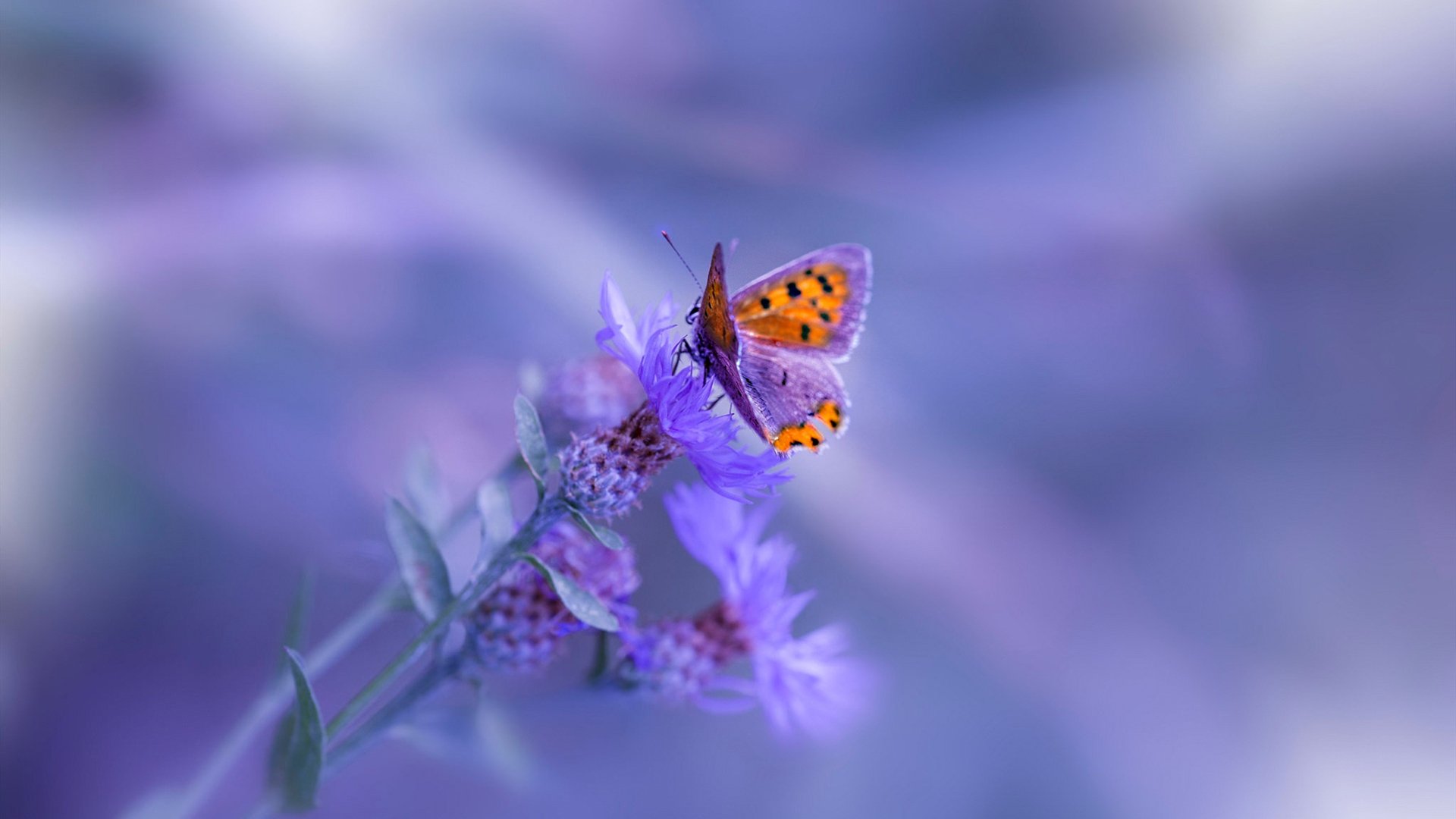 MILANSPORT入口-滑行速度控制数据对比分析，滑行的速度